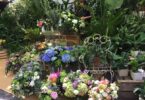 Madrid se viste de colores con el Mercado de las Flores de Primavera