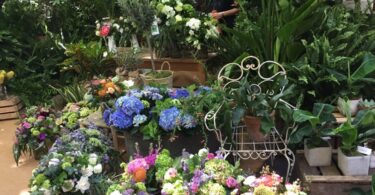 Madrid se viste de colores con el Mercado de las Flores de Primavera
