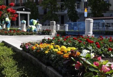 Más de medio millón de plantas ornamentales decorarán Madrid