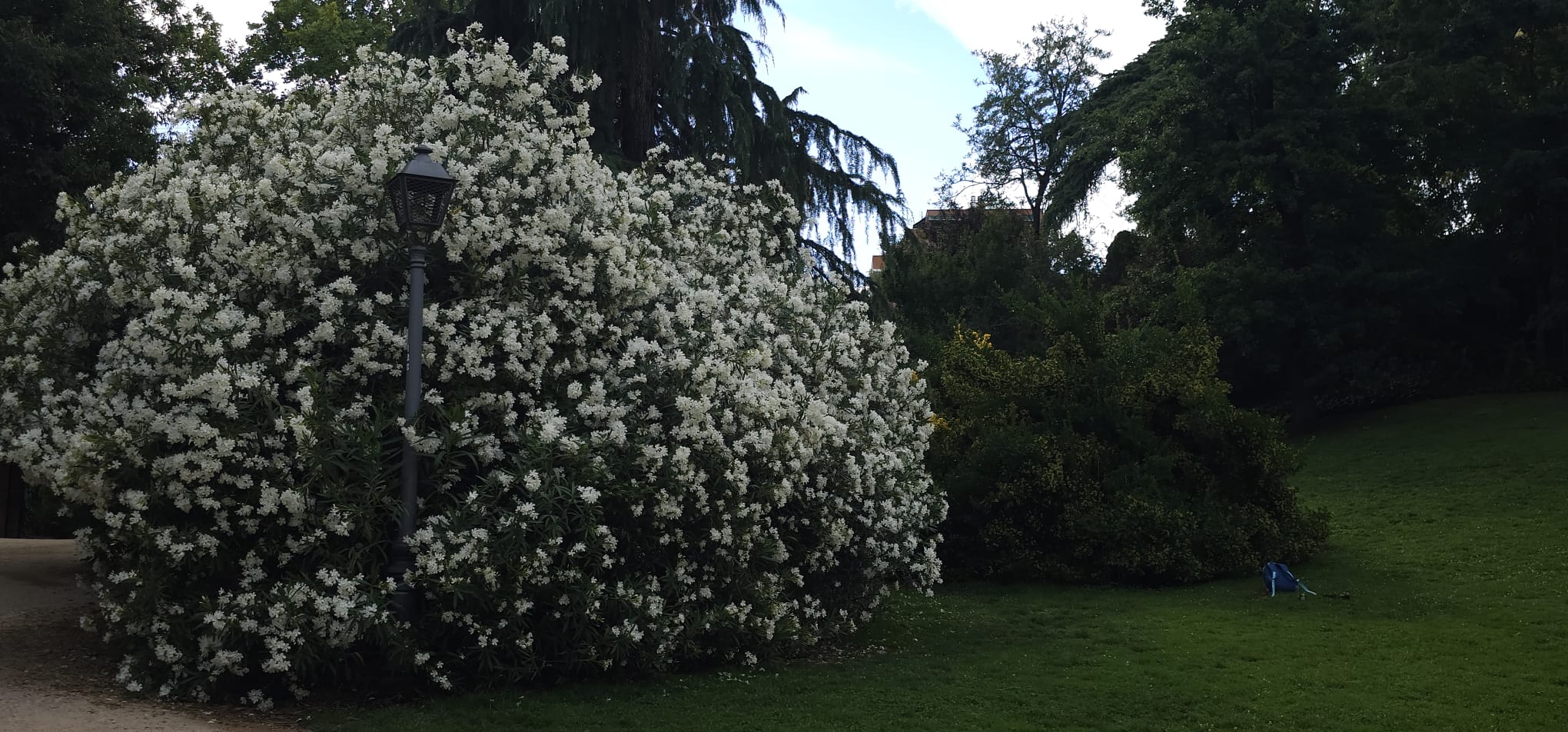 Parque de la quinta de la fuente del berro