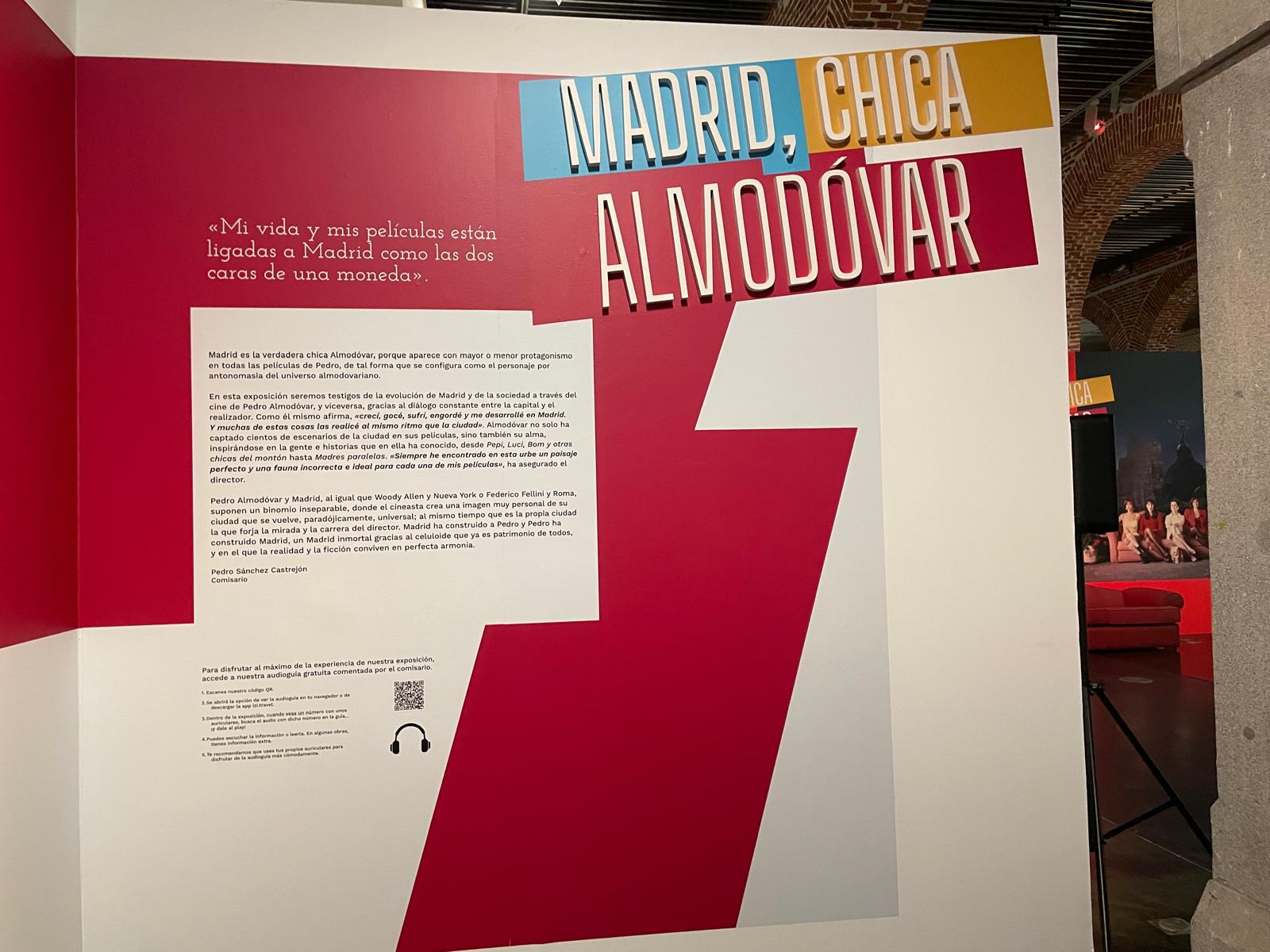 exposicion Madrid, chica Almodóvar