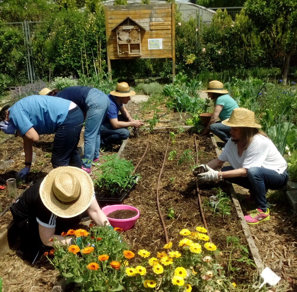 Actividades gratuitas de ocio y educación ambiental 2