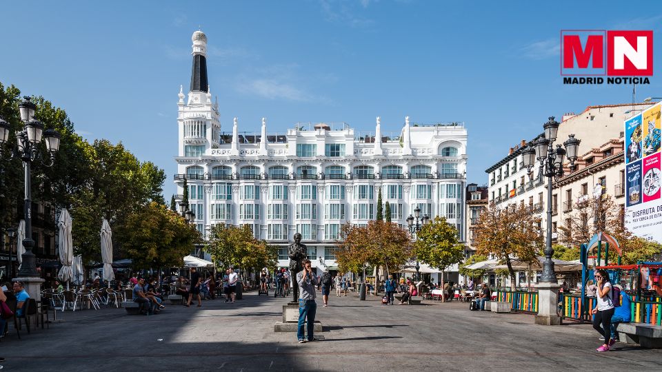 La tala de arboles en la plaza de Santa Ana 2