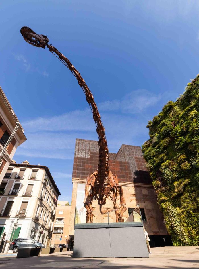 Patagotitan jardin vertical cixaforum 1