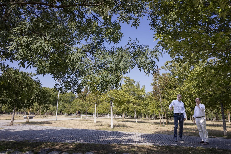 La Huerta de la Partida, historia y naturaleza en Madrid