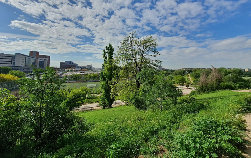 Parque de Pradolongo