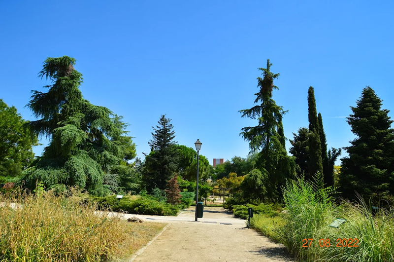 Parque de Pradolongo