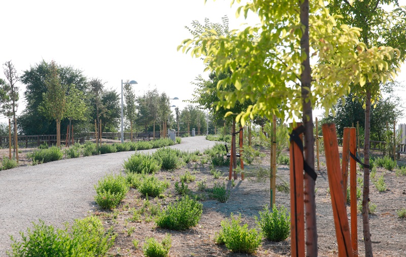 transformación de la zona verde en el barrio de El Cañaveral