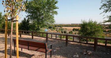 transformación de la zona verde en el barrio de El Cañaveral