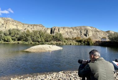 Madrid refuerza la biodiversidad en el Parque Regional del Sureste