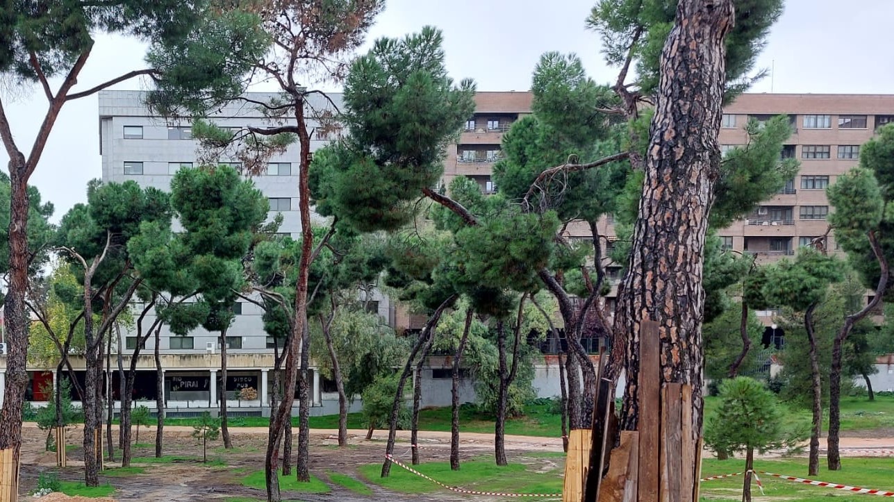 Renovación de Pinar del Rey y Pinar de la Elipa: más verde, más vida