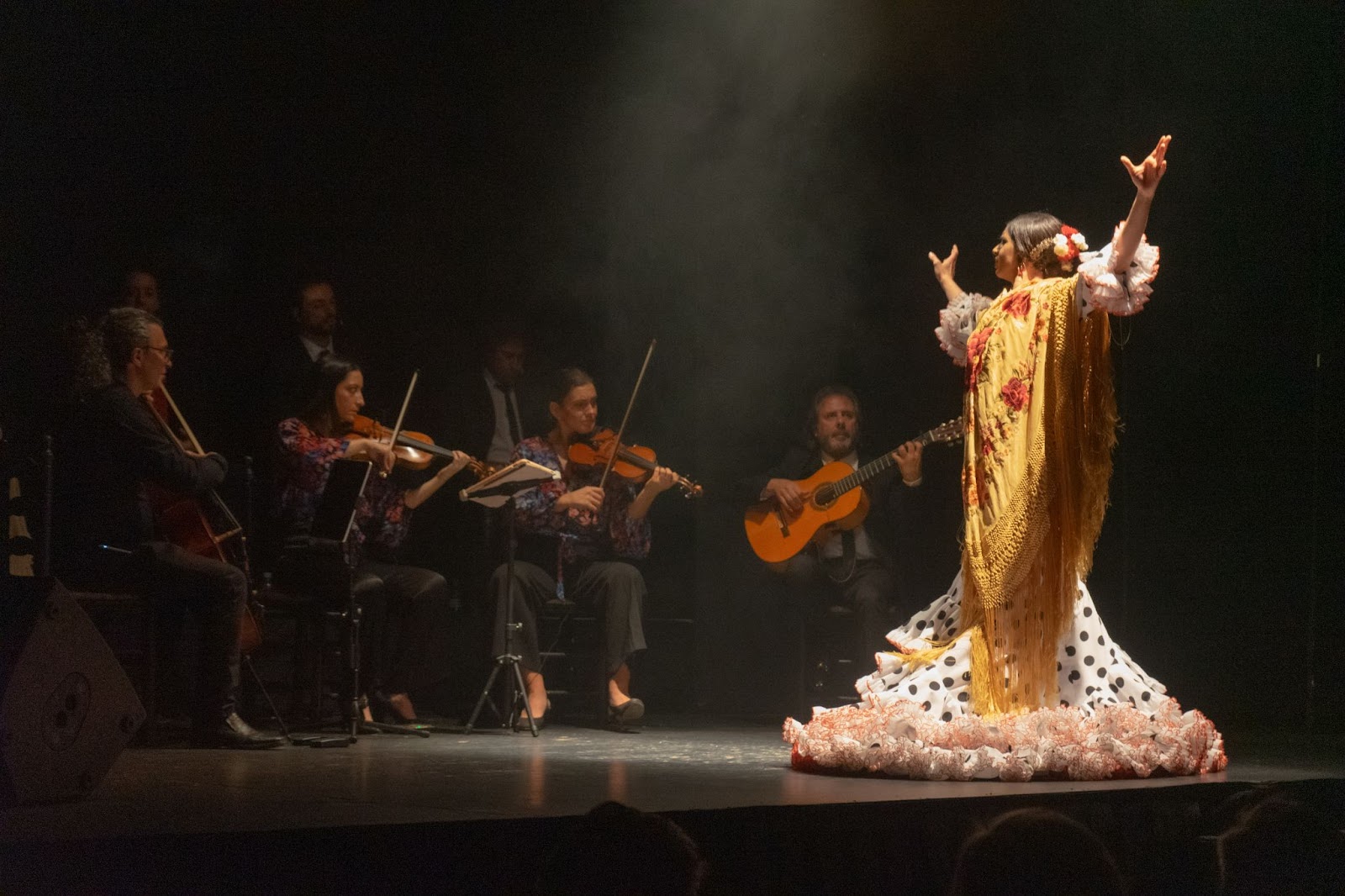 Día Internacional del Flamenco en Teatro Flamenco Madrid