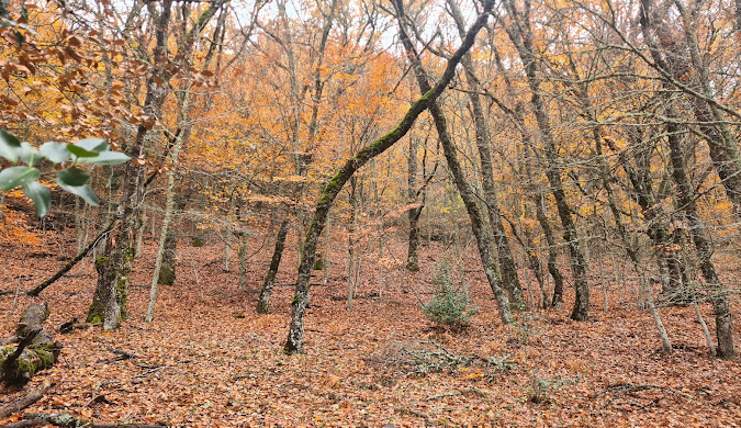 La Hiruela naturaleza