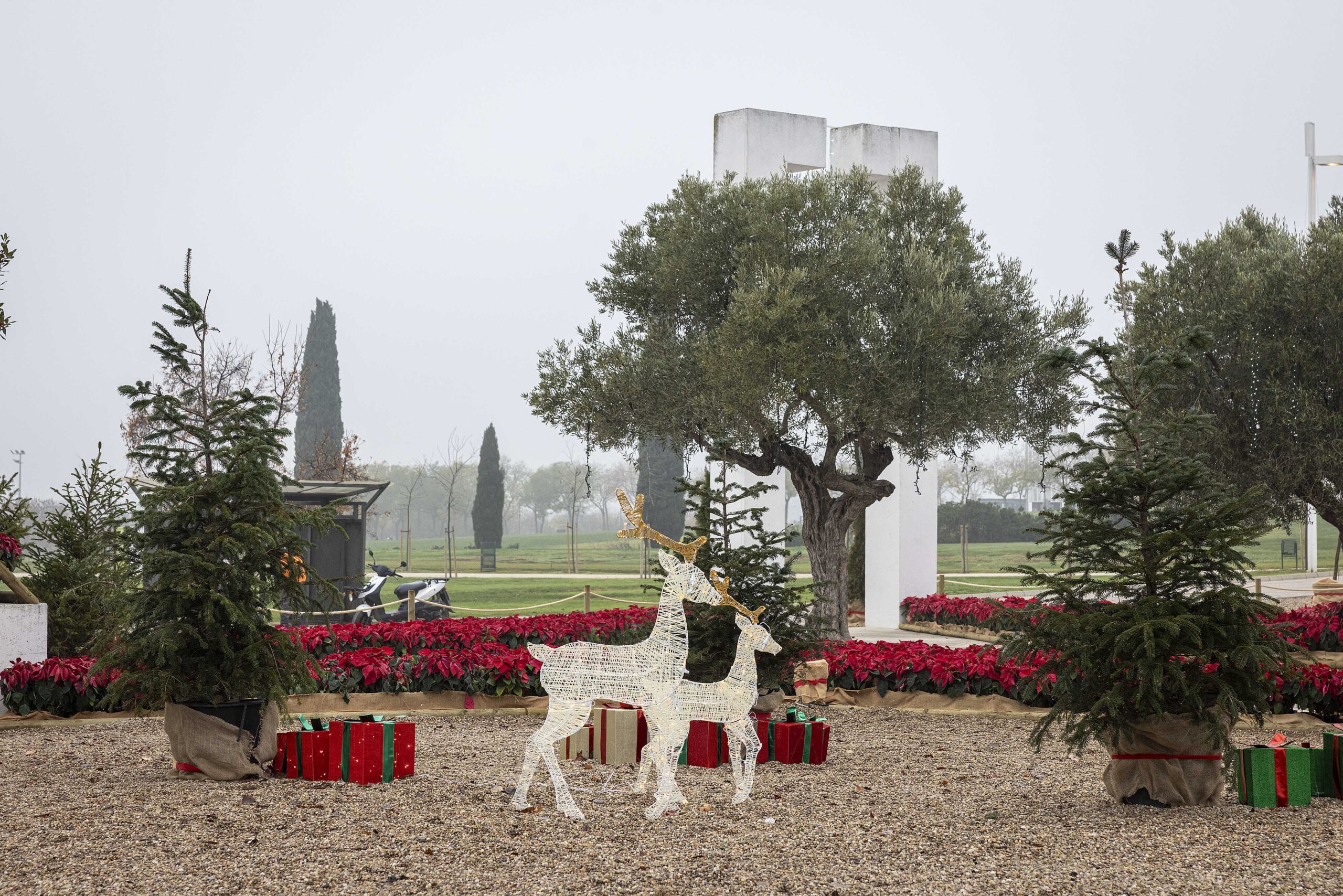 Navidad en el Parque Juan Carlos I