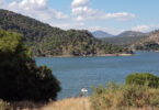 Navas del Rey