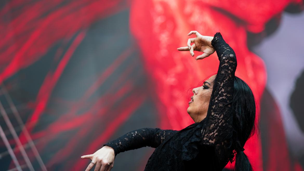 Flamenco en las enseñanzas artísticas superiores de música