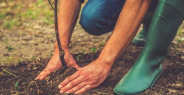 ayudar a entidades sin ánimo de lucro que desarrollan proyectos ambientales