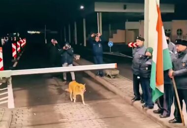 el perro que cruzó la frontera