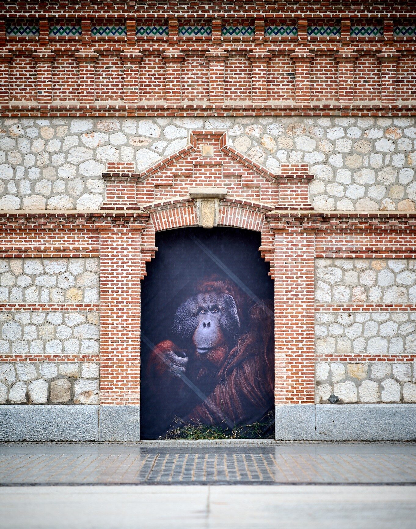 muestra fotográfica 'The Animals' 1