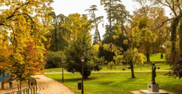 planes directores de los jardines del Buen Retiro, la Quinta de la Fuente del Berro y el parque Juan Pablo II 2