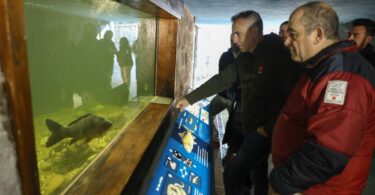 recuperación de la trucha común en el Parque Nacional de la Sierra de Guadarrama