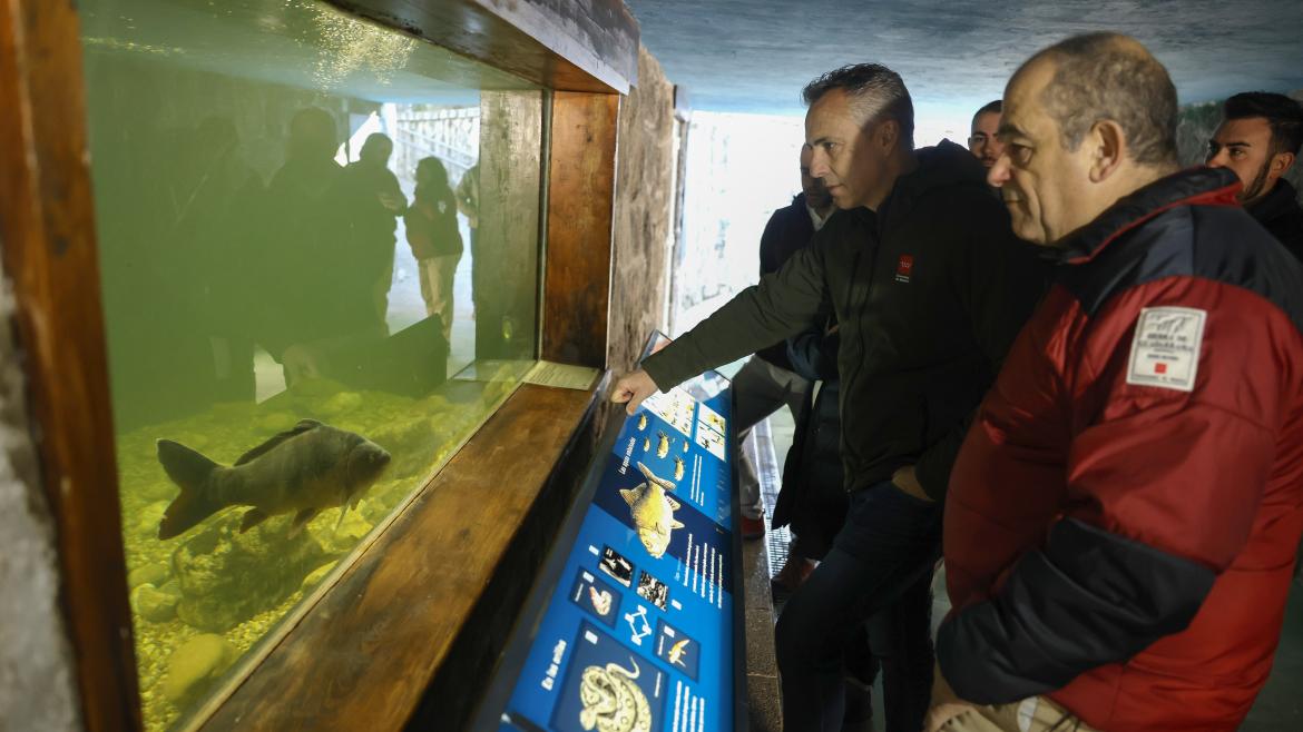 recuperación de la trucha común en el Parque Nacional de la Sierra de Guadarrama