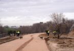 parque lineal Manolito Gafotas de Carabanchel