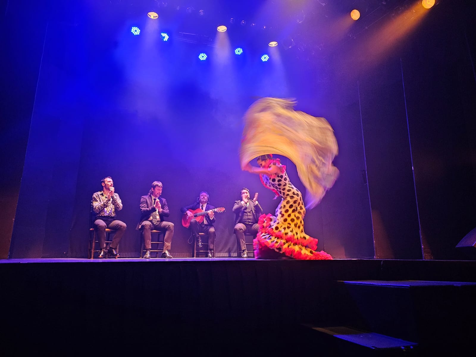 emociones teatro flamenco madrid 9