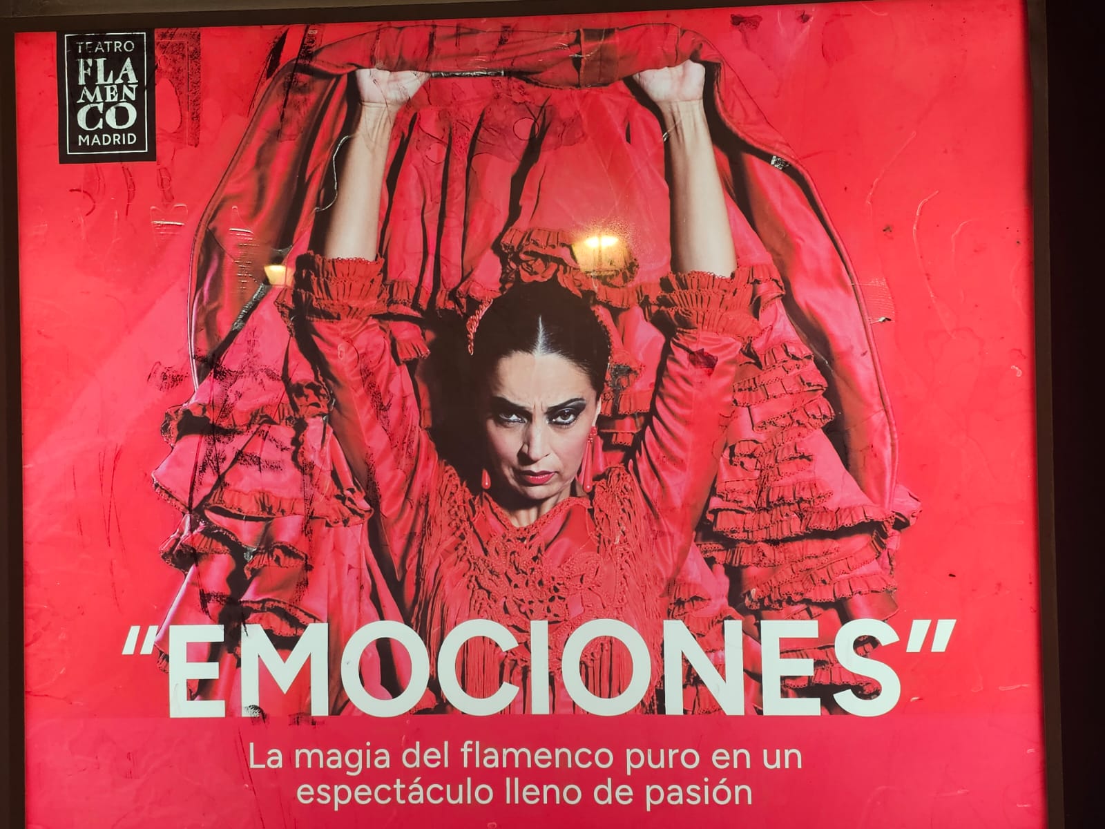 emociones teatro flamenco madrid