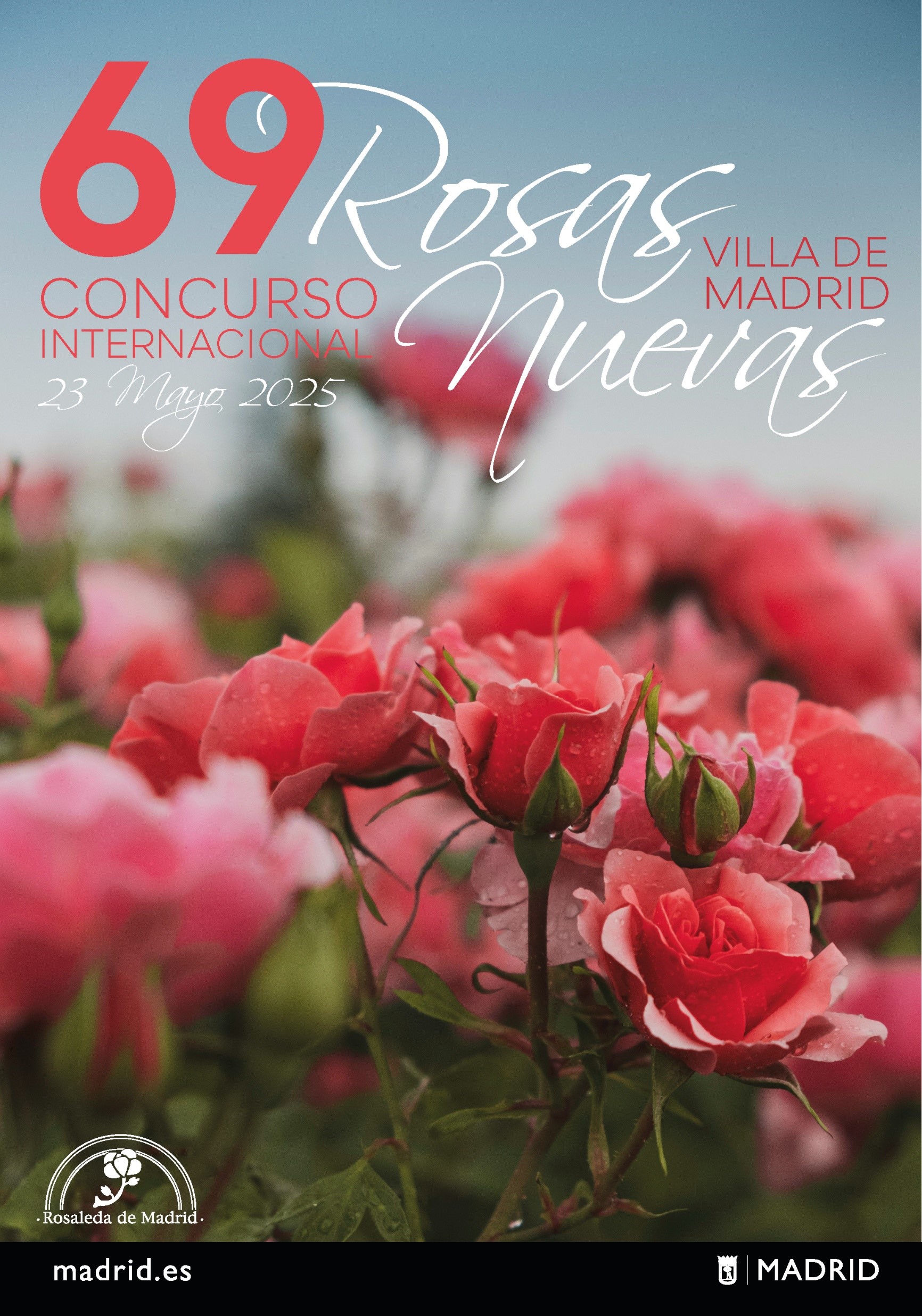 Concursos Popular e Internacional Rosas Nuevas