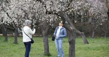 programa Pasea Madrid