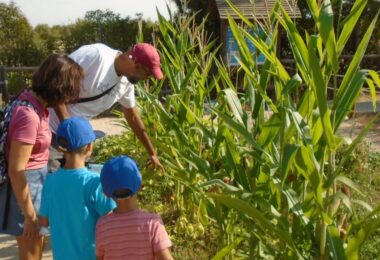 conservar y proteger la flora autóctona