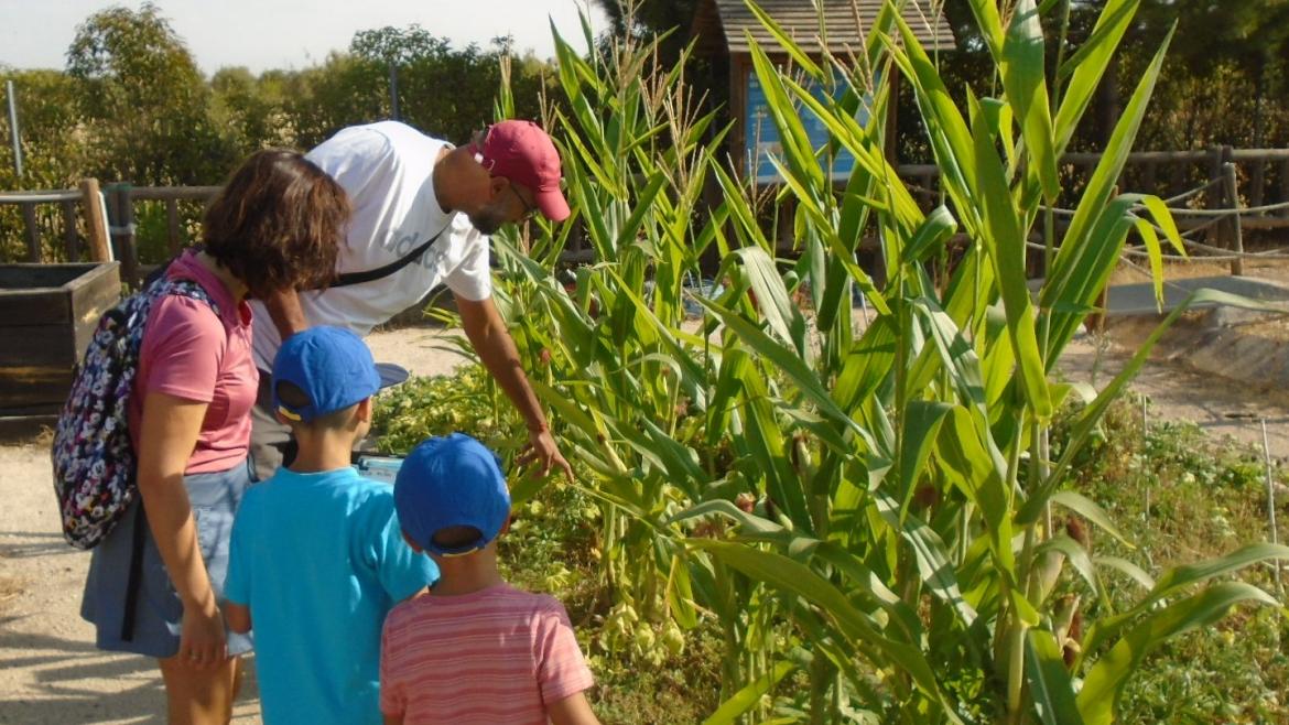 conservar y proteger la flora autóctona