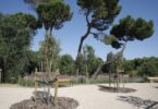 El Ayuntamiento de Madrid transforma el entorno de la Colonia de Santa María