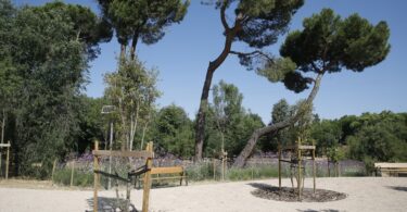 El Ayuntamiento de Madrid transforma el entorno de la Colonia de Santa María