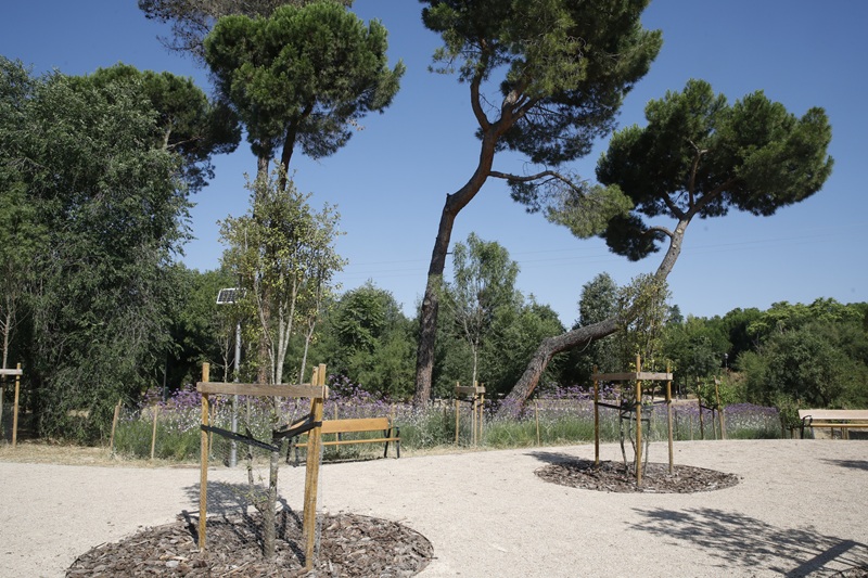 El Ayuntamiento de Madrid transforma el entorno de la Colonia de Santa María