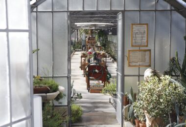plantas de los viveros municipales