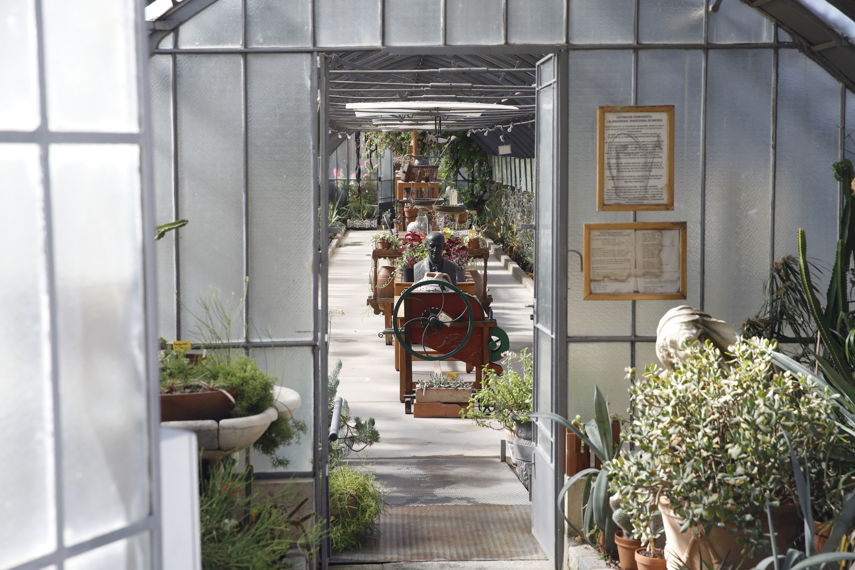 plantas de los viveros municipales