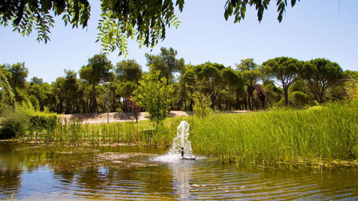 ahorrar más de 200 hectómetros cúbicos de agua desde que Canal de Isabel II la regenera en sus depuradoras