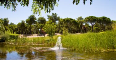consigue ahorrar más de 200 hectómetros cúbicos de agua