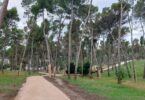 inversión en zonas verdes 109 millones y 106 obras ya finalizadas