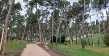inversión en zonas verdes 109 millones y 106 obras ya finalizadas