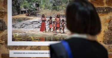 exposición Guardianes de los bosques
