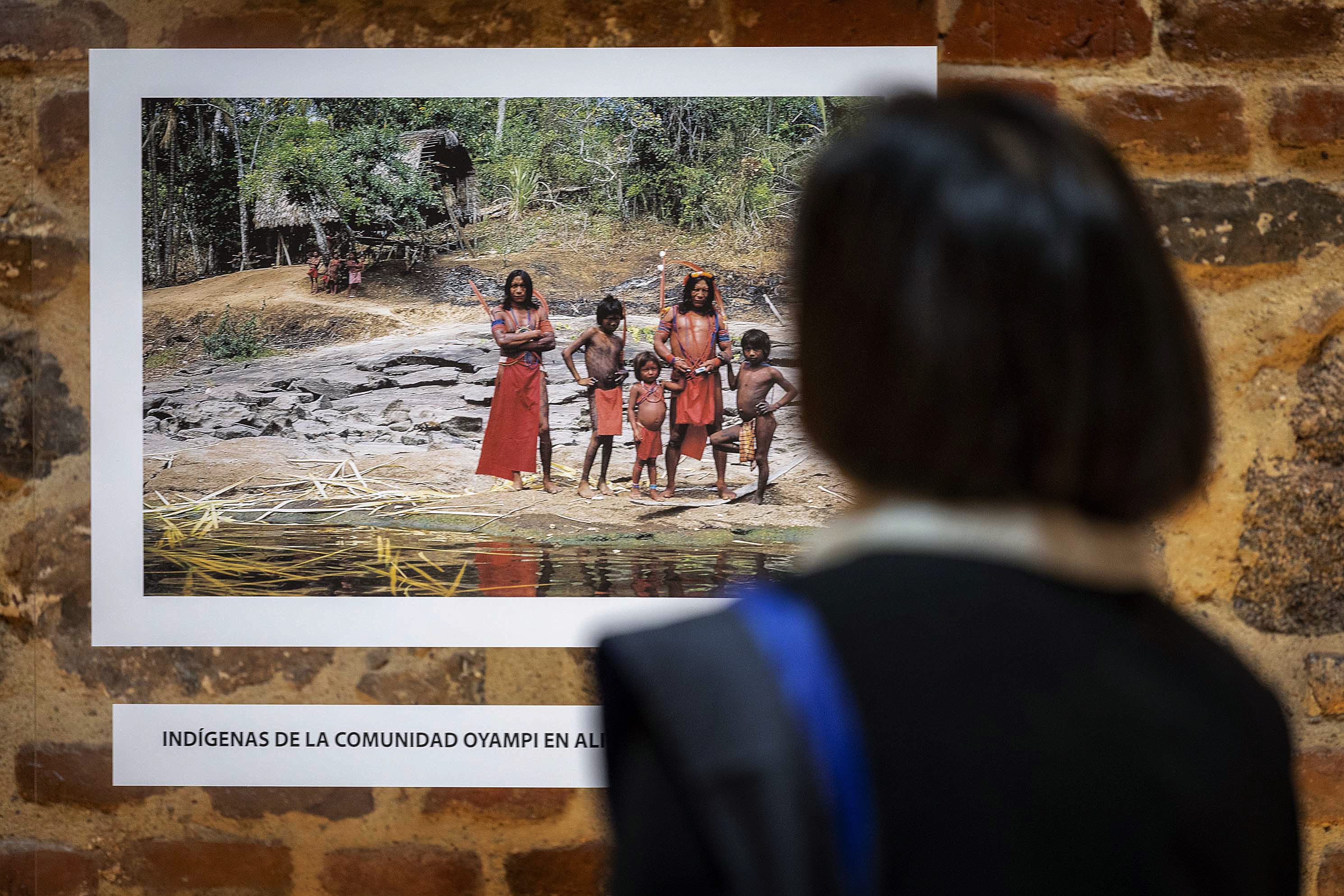 exposición Guardianes de los bosques