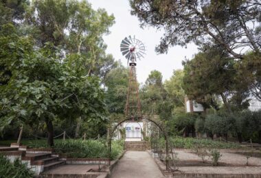 El Ayuntamiento de Madrid completa la rehabilitación de los dos molinos de Chicago