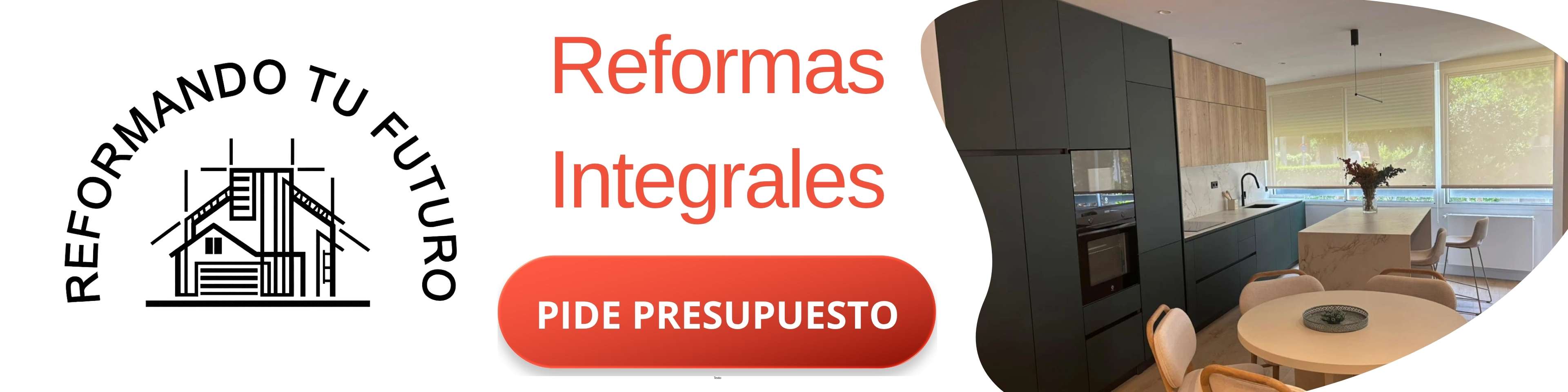 Reformas Integrales (80 x 20 in)