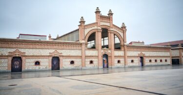 muestra fotográfica 'The Animals'