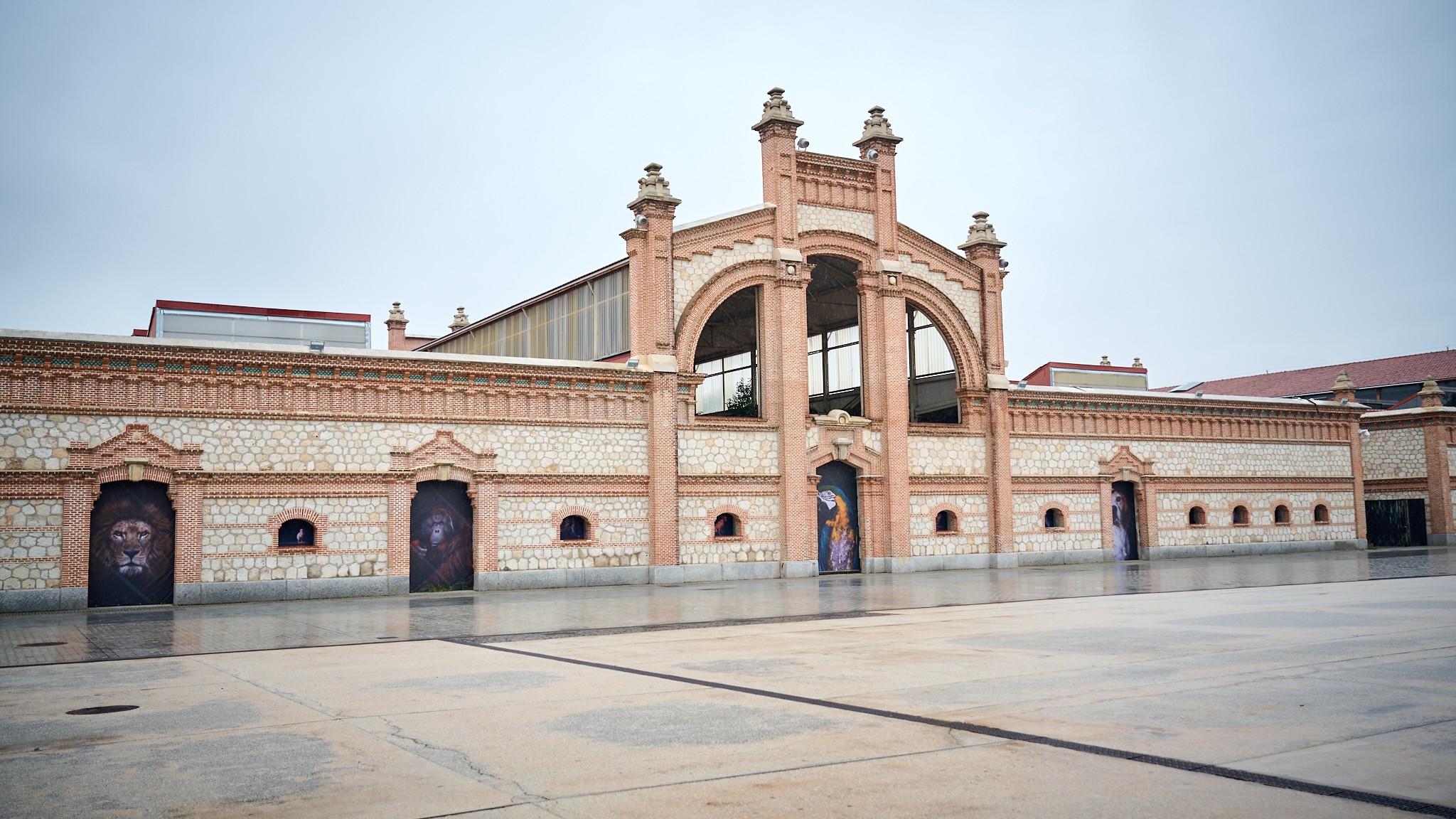 muestra fotográfica 'The Animals'