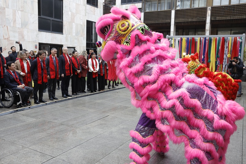 Año Nuevo chino del caballo de fuego