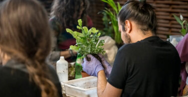 Matadero Madrid celebrará la segunda edición de Biophest 1